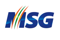 MSG